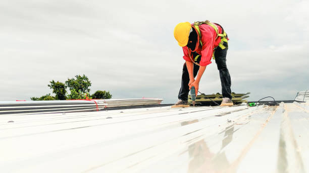 Best Sheet Metal Roofing  in Athens, MI
