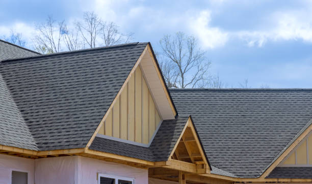 Best Roof Insulation Installation  in Athens, MI